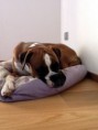 /album/chi-siamo/gunther-02-jpg/
